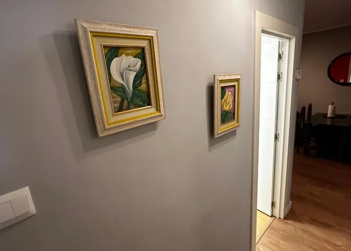 Piso Reformado Y Economico